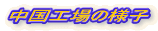 中国工場の様q